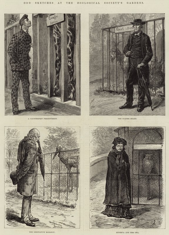 Odd Sketches at the Zoological Society