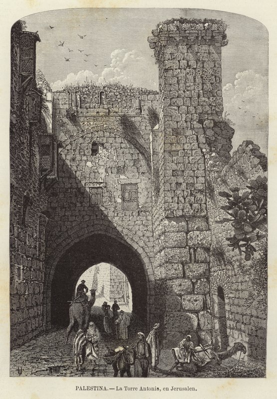 Palestina, Antonia Tower, v Jeruzalémě od European School