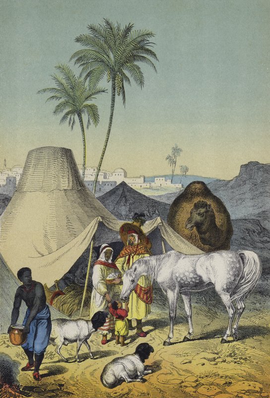 Lidé, zvířata a rostliny severní Afriky a Arábie (barva litho) od European School