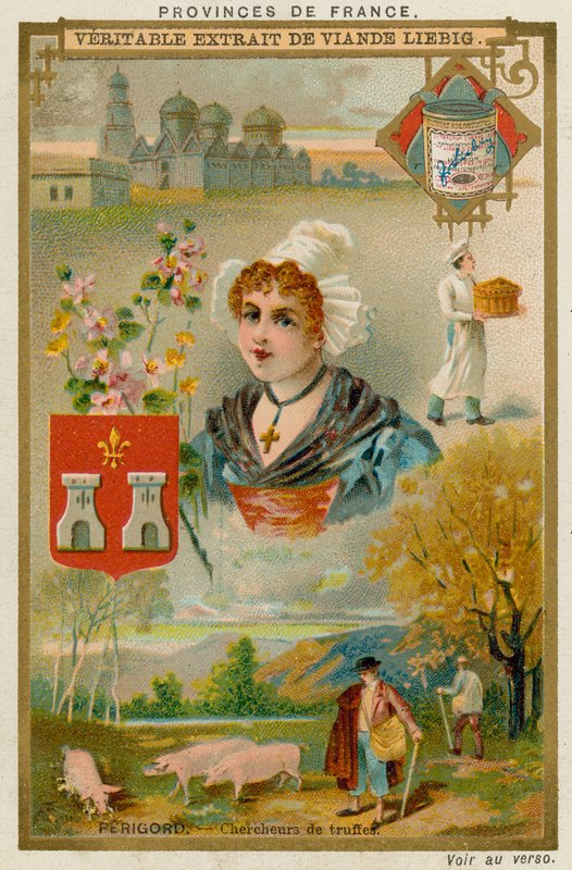 Perigord od European School