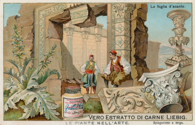 Rostliny v umění, Liebigova karta, počátek 20. století (chromo) od European School