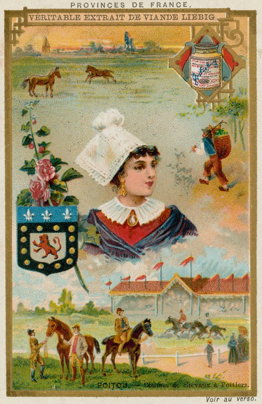 Poitou od European School