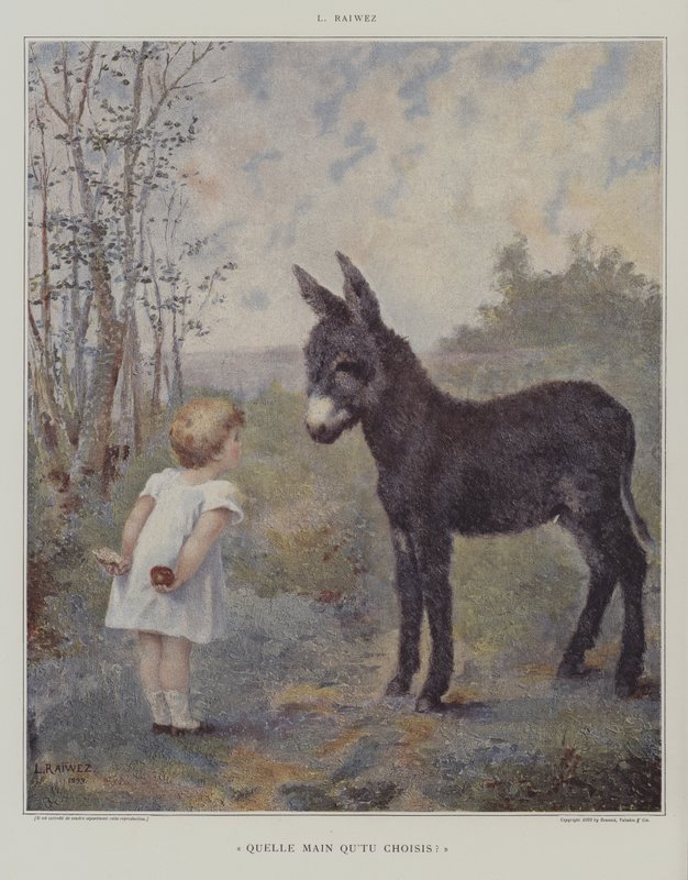 Jakou ruku si vyberete? (Kterou ruku si vyberete?) (barva lito) od European School