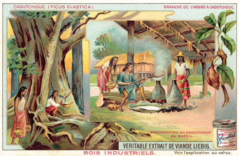 Gumovník (chromolitho) od European School