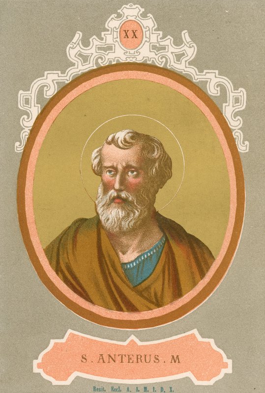 S Anterus M od European School