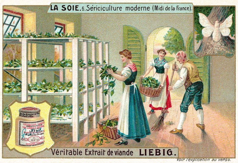 Výroba hedvábí v jižní Francii (chromolitho) od European School