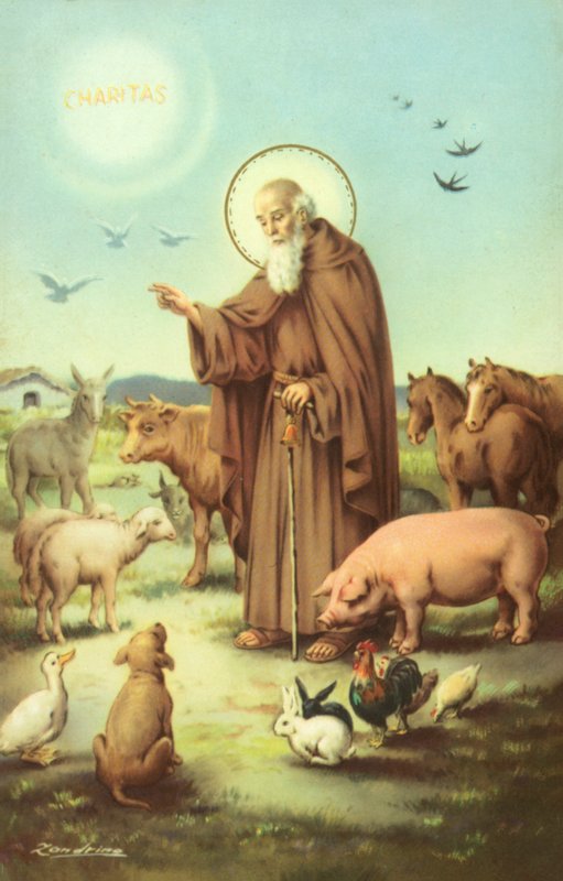 Svatý František z Assisi obklopený zvířaty (barevná litografie) od European School