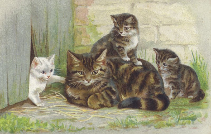 Tabby kočka se třemi koťaty (chromolit) od European School