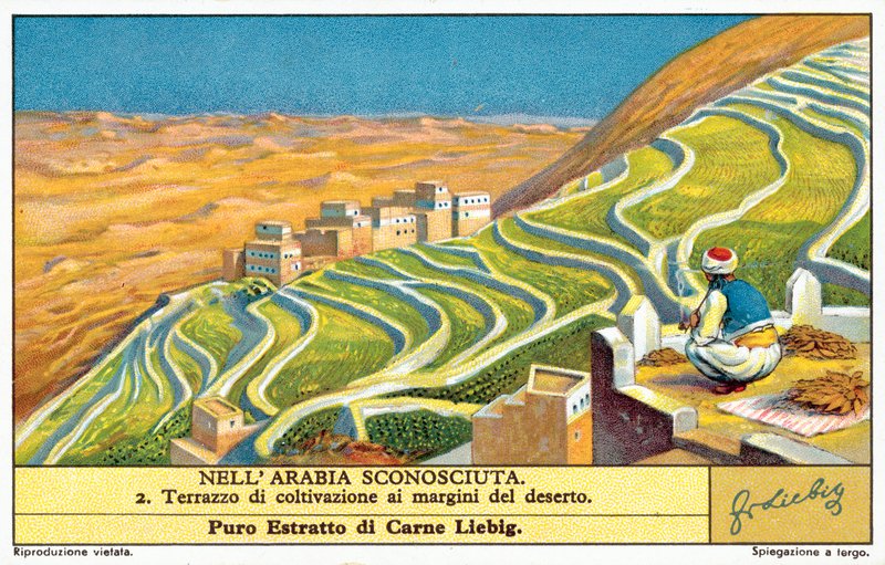 Terasové pěstování na okraji pouště (chromolitho) od European School