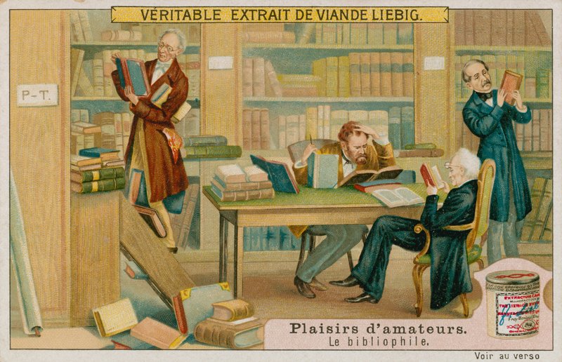 Amatérský bibliofil od European School
