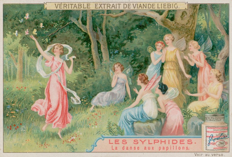 Sylphové tančí s motýly od European School