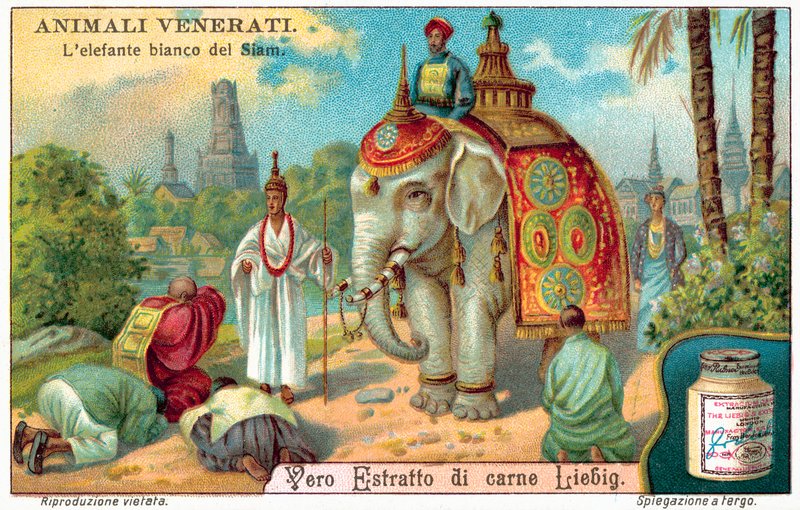 Bílý slon ze Siamu (chromolitho) od European School