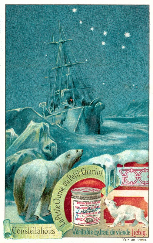 Ursa Minor (chromolitho) od European School
