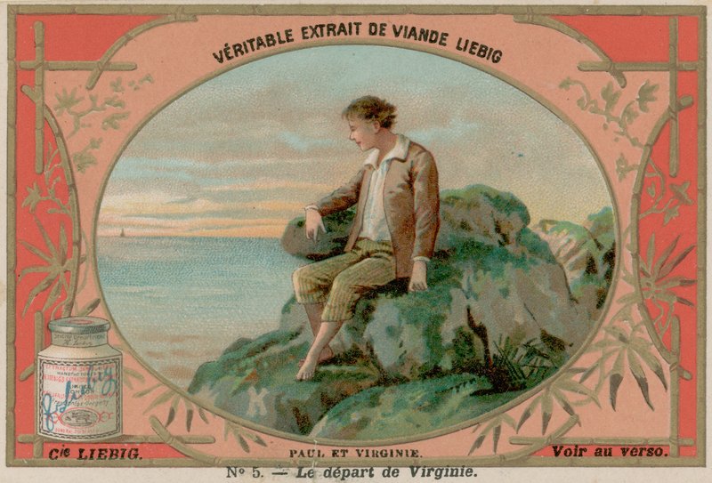 Virginie listy od European School