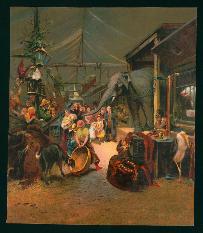 Návštěvníci zvěřince (chromolit) od European School