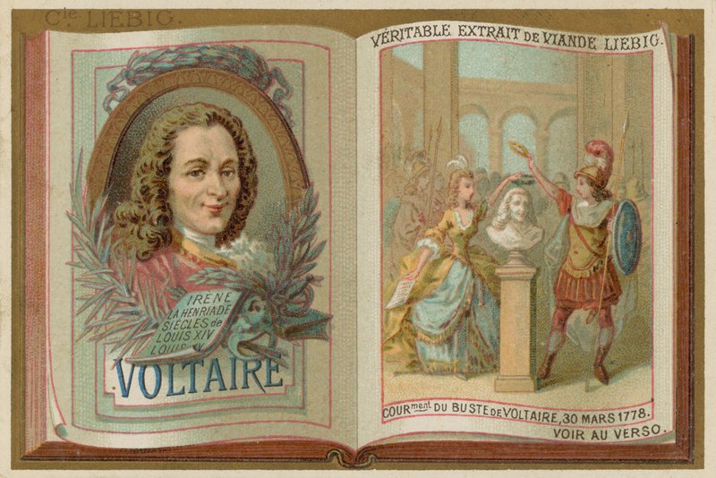 Voltaire od European School