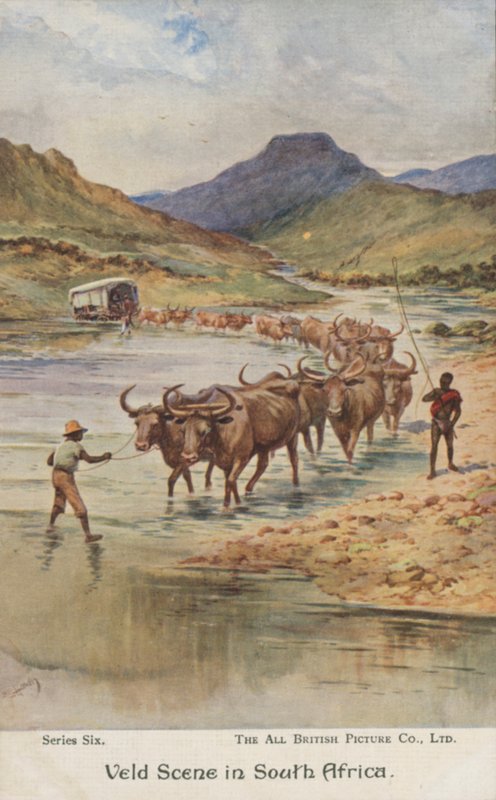 Farmáři pohánějící dobytek, Jižní Afrika (barva litho) od Evelyn Stuart Hardy