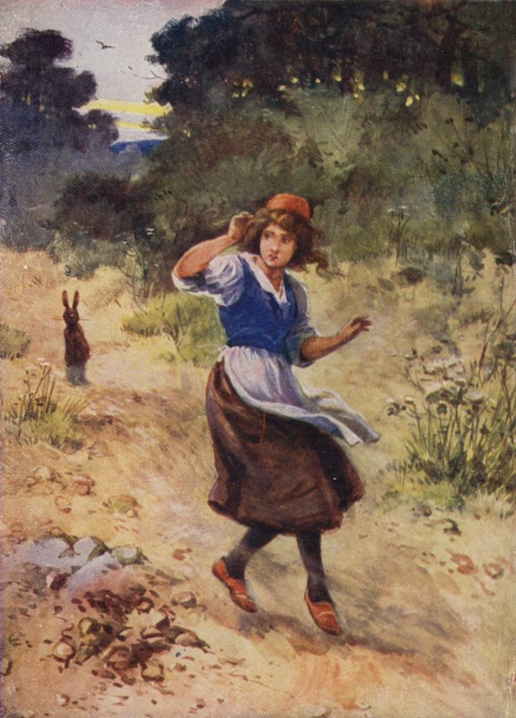 Neznámý příběh Hanse Christiana Andersena od Evelyn Stuart Hardy