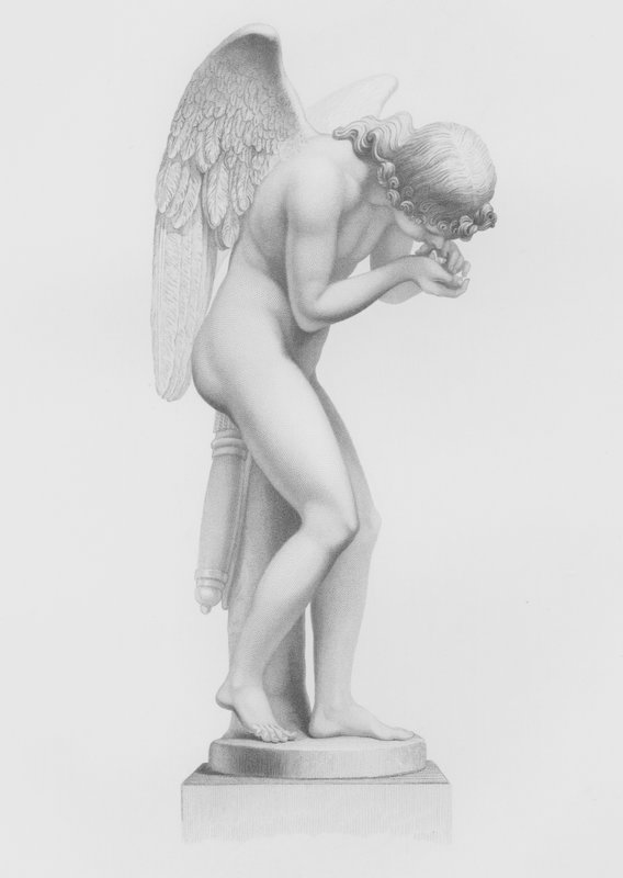 Love Reviving Life, ze sochy od Finelliho, ve sbírce Jeho milosti vévody z Devonshire, v Chatsworth (rytina) od F. Roffe