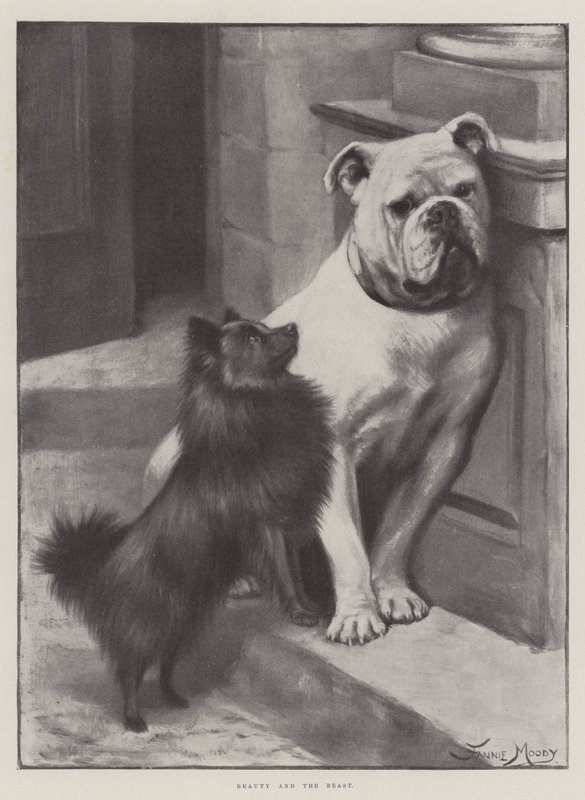 Kráska a zvíře od Fannie Moody