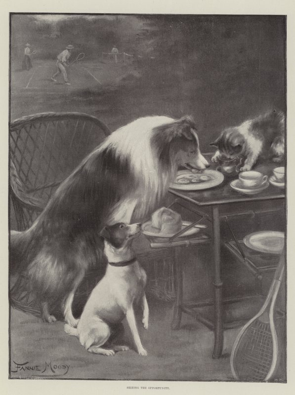 Využití příležitosti od Fannie Moody