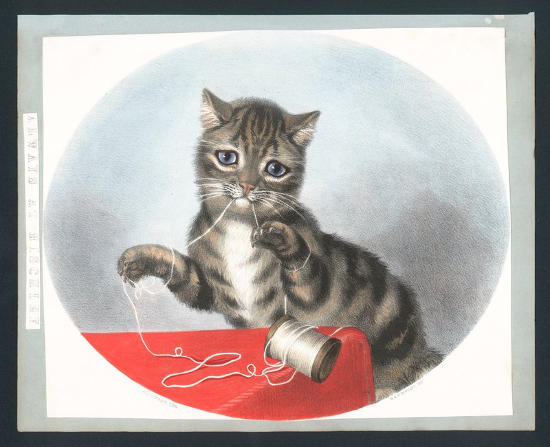 Always at Mischief - viktoriánské blahopřání (chromolitho) od Fanny Corbaux