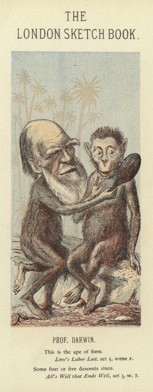 Karikatura Charlese Darwina od Faustin