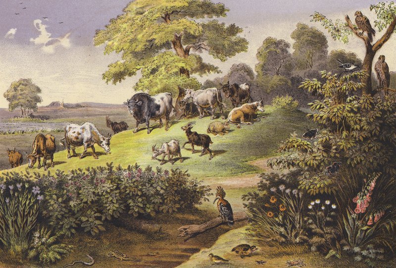 Červenec (barevná litografie) od Ferdinand Karl Klimsch