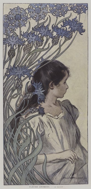 Anime Fleurs. Le Bluet. (Animované květiny: Chrpa) (barva lito) od Firmin (after) Bouisset