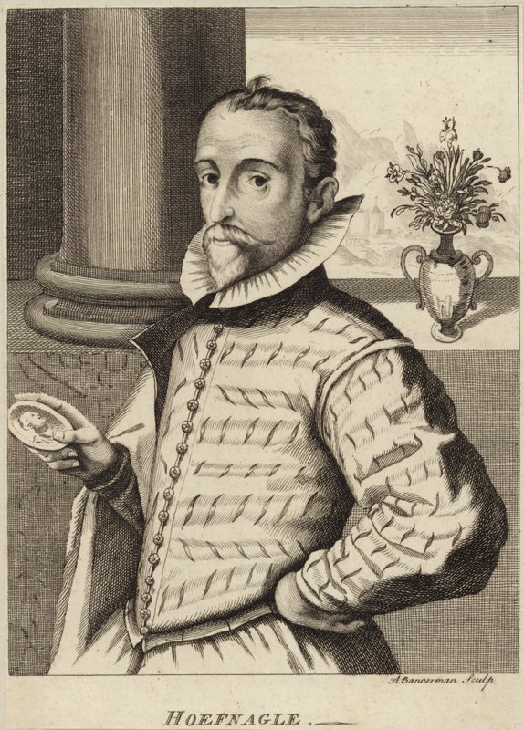 Portrét Jorise Hoefnagela od Flemish School