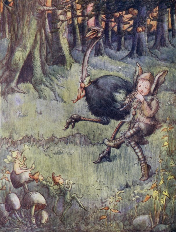 Pštros, kterého si Tootles bere na procházku (barevná litografie) od Flora White