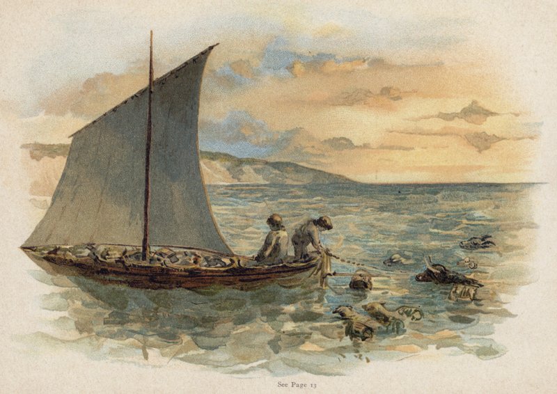 Scéna ze švýcarské rodiny Robinsonů: vynášení zvířat z vraku (chromolitho) od Florence Maplestone