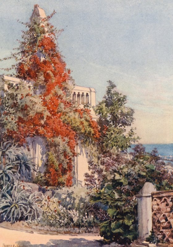 Bougainvillaea, Alžír (barevná litografie) od Frances Nesbitt