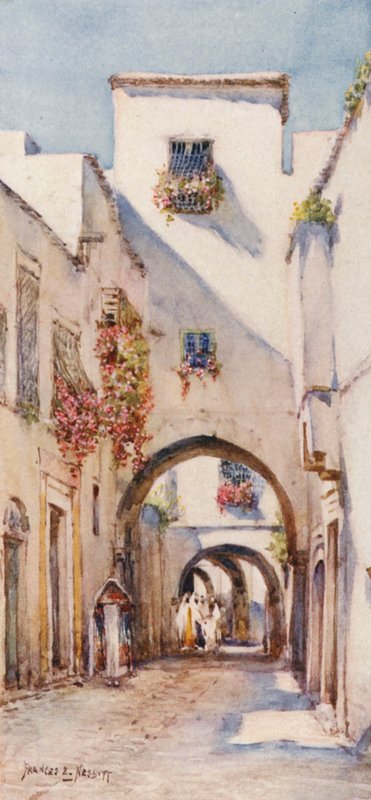 Rue Tourbet el Bey, Tunis (barevná litografie) od Frances Nesbitt