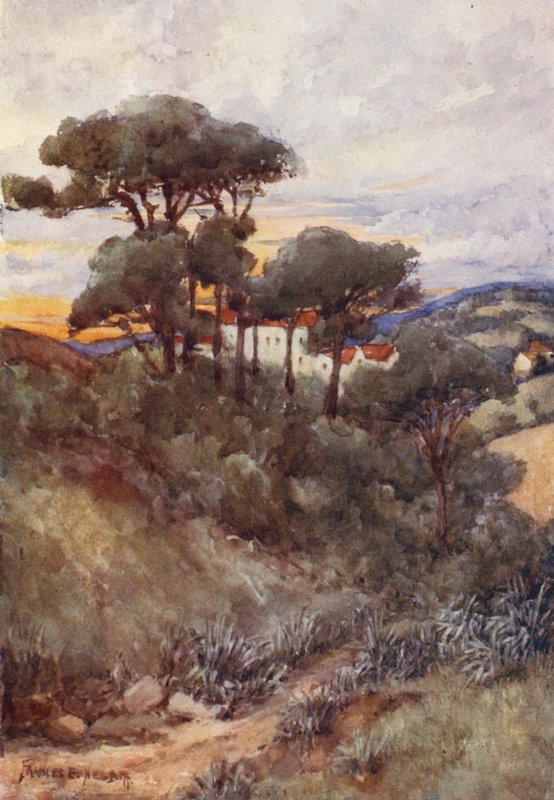 Stone Pines, Alžír (barevná litografie) od Frances Nesbitt