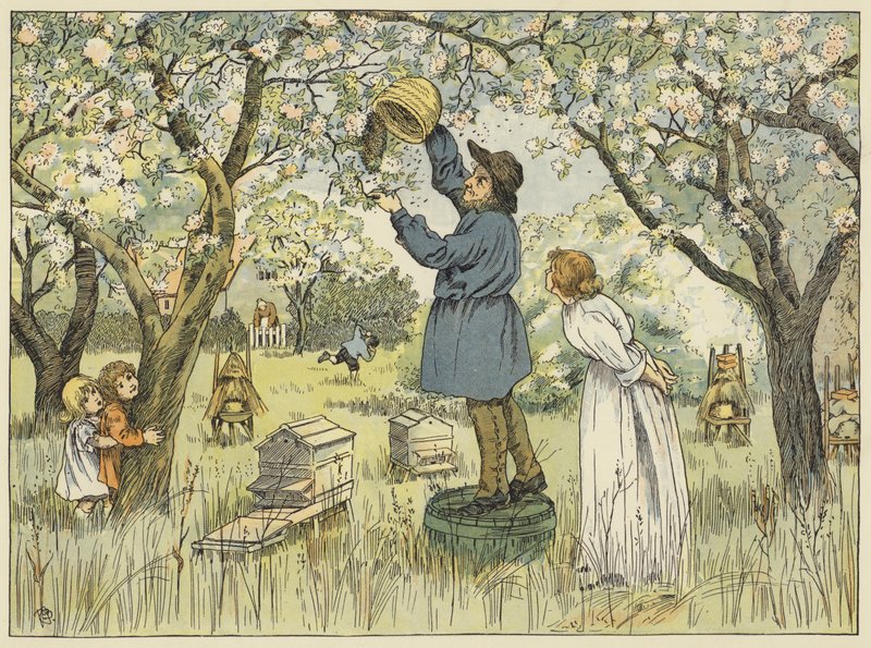 Včelí farmář (barevná litografie) od Francis Donkin Bedford