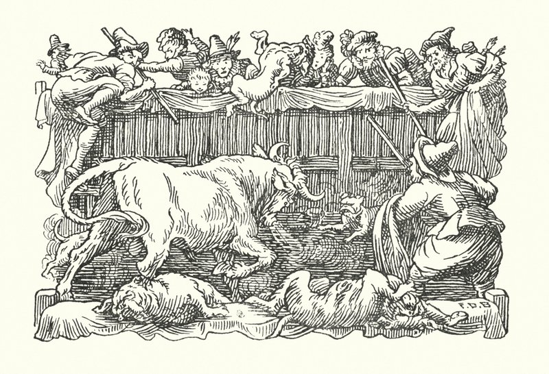 Merrie England: Bull baiting (litografie) od Francis Donkin Bedford