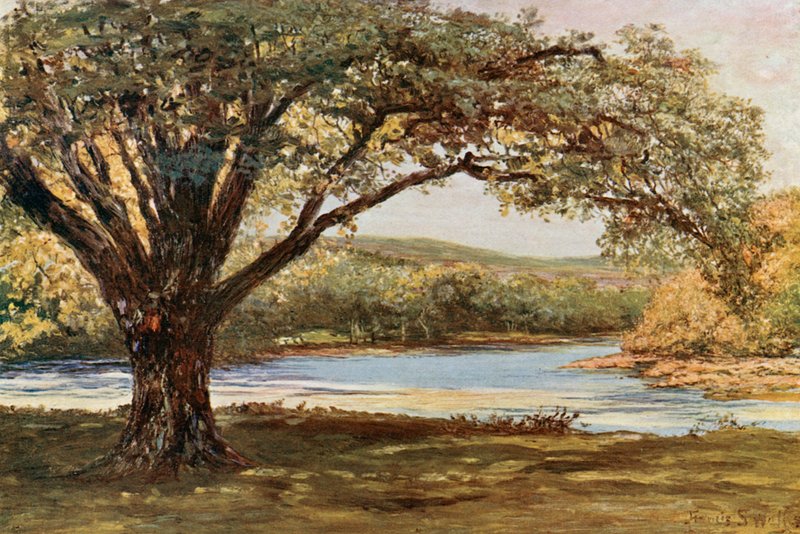 Údolí Avoca od Francis S. Walker