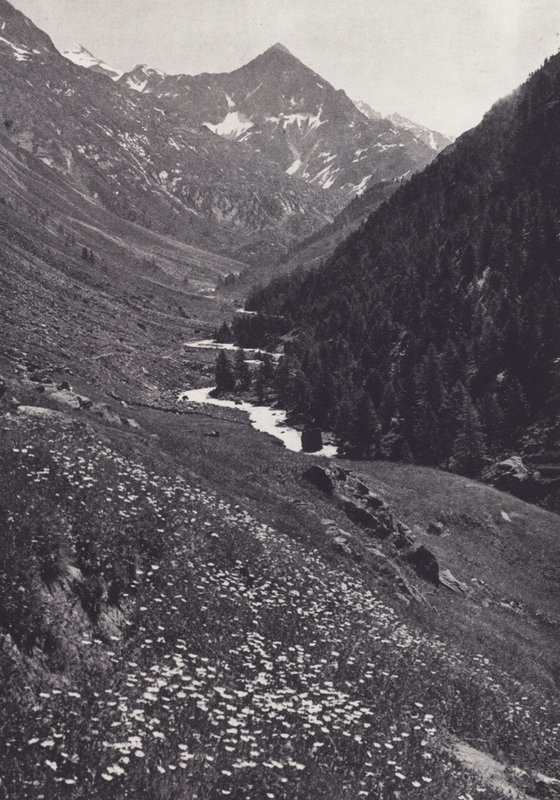 Východní Alpy: V údolí Windach Tal (č/b foto) od Francis Sydney Smythe