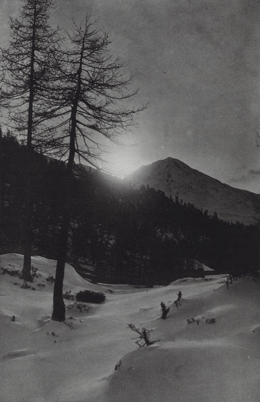 Alpy: Nedaleko Obergurglu (černobílá fotografie) od Francis Sydney Smythe