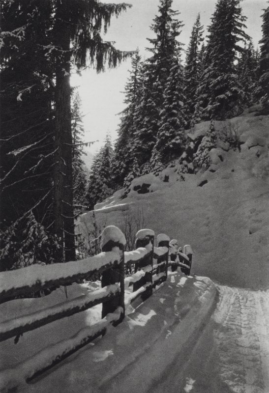 Alpy: Zimní ráno, poblíž St Anton (č/b foto) od Francis Sydney Smythe