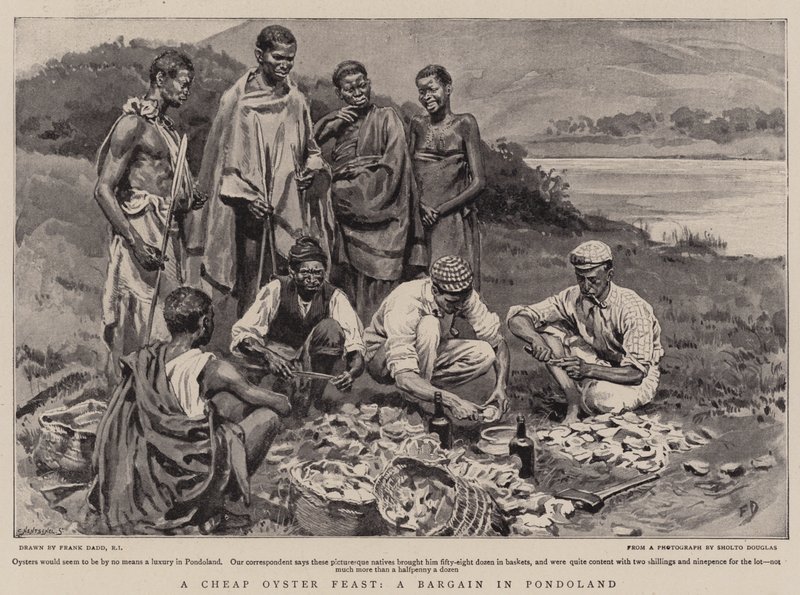 Levné ústřicové hody, výhodná nabídka v Pondoland od Frank Dadd