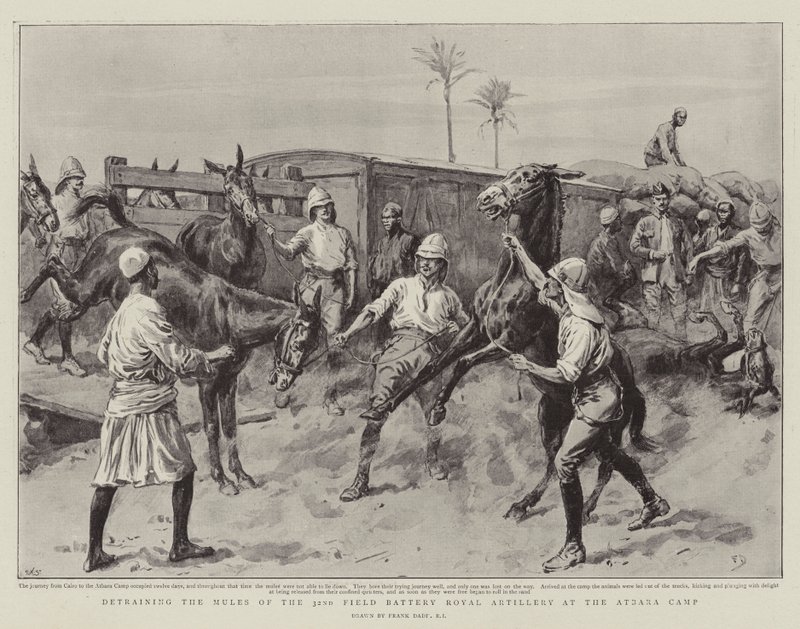 Výcvik mul 32. polní baterie královského dělostřelectva v táboře Atbara od Frank Dadd