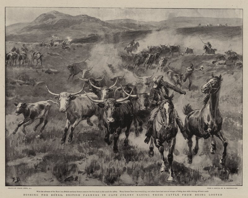 Dishing the Boers, britští farmáři v Cape Colony zachraňující jejich dobytek před vypleněním od Frank Dadd