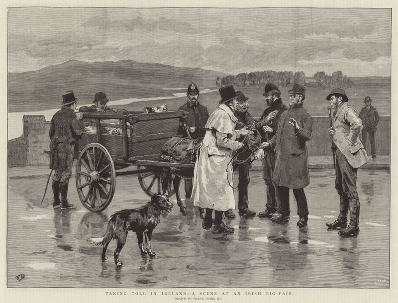 Vybírá si daň v Irsku, scéna na irském prasečím veletrhu od Frank Dadd