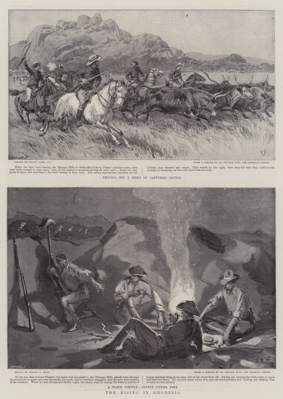 Povstání v Rhodesii od Frank Dadd
