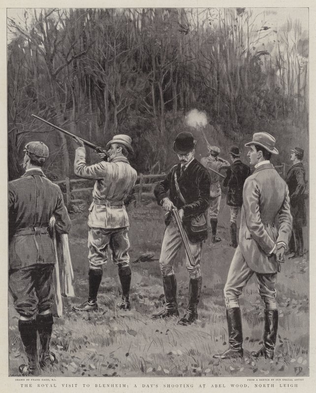 Královská návštěva Blenheimu, jednodenní střelba v Abel Wood, North Leigh od Frank Dadd
