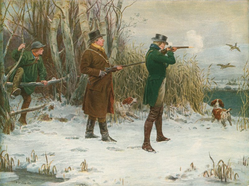 Divoká kachna Střelba v době Vánoc od Frank Dadd