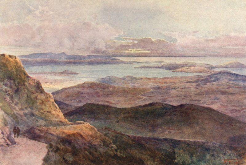 Nový Zéland: Coromandel (barevná litografie) od Frank H Wright