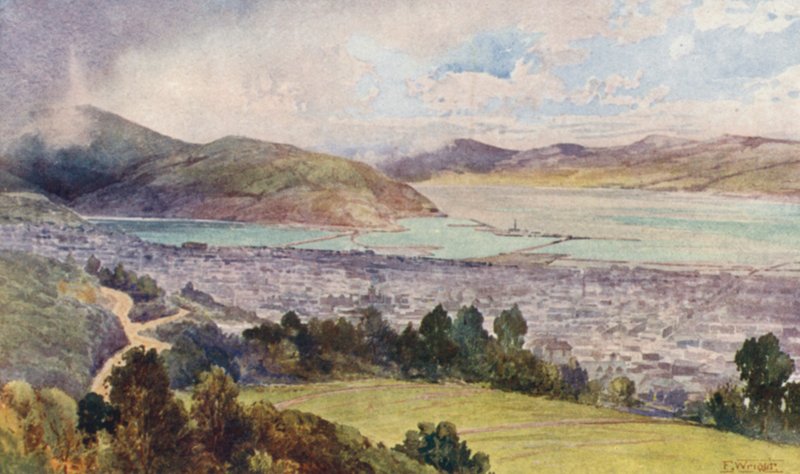 Nový Zéland: Dunedin (barevná litografie) od Frank H Wright